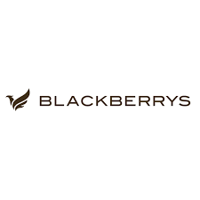 Blackberrys logo